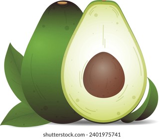Avocado fruit with leafs  vector illustration. Avocado whole, half, slice, leaves on white background.