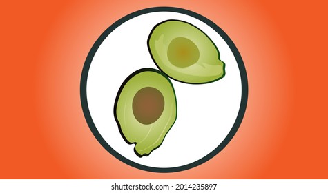 Avocado fruit menu. Fragrant, sweet, half cut.