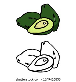 avocado, fruit object, vector doodle art