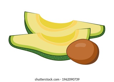 avocado fruit quarter slice illustration isolated vector 