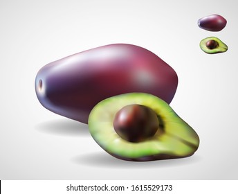 Avocado fruit realistic vector gradient mesh illustration