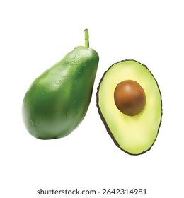 avocado fruit Slice illustration on white backgorund vol 01