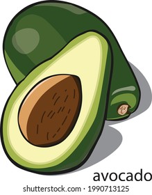Avocado fruit vector art for design
