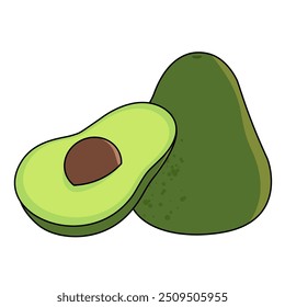 Avocado fruit vector art. Isolated illustration on white background.