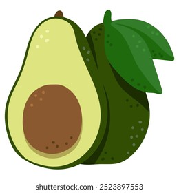 Ilustración de dibujos animados de Vector de fruta de aguacate aislada sobre un fondo blanco.