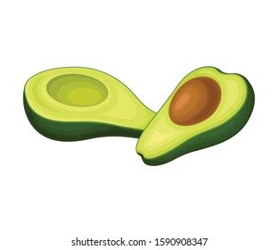 Avocado Fruit Vector Illustrated Food Item Isolated On White Background