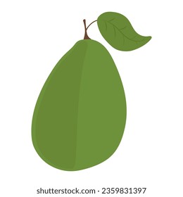 aguacate, fruta, vector, ilustración, arte, diseño gráfico