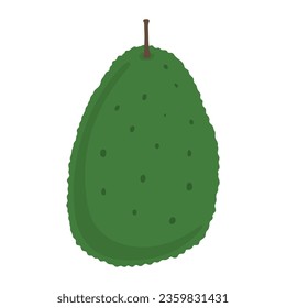 avocado, fruit, vector, illustration, art, graphic design