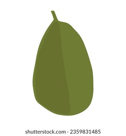 avocado, fruit, vector, illustration, art, graphic design