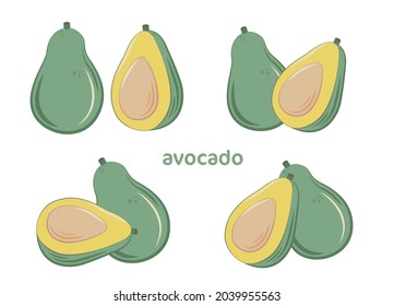 avocado Fruit vector illustration flat design set