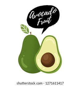 Avocado fruit vector illustration. Vector fresh fruit avocado. 