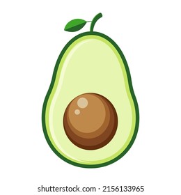 Avocado fruit vector illustration. healty fresh diet fruit