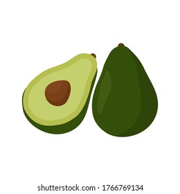 Avocado fruit. Vector illustration. In the style of hand drawing.