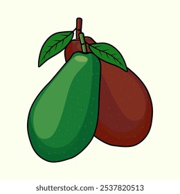 Avocado Fruit Vector Image and Illustration