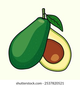 Avocado Fruit Vector Image and Illustration