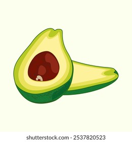 Avocado Fruit Vector Image and Illustration