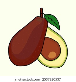 Avocado Fruit Vector Image and Illustration