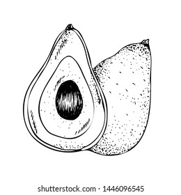 Avocado fruit. Vector plant isolated on white background. Design for package of health and beauty natural products. Style Vintage engraving. Black ink drawing.