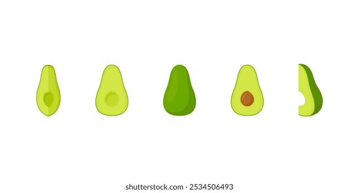 Avocado fruit vector set. Isolated avocado sign. Juicy ripe organic fruit illustration. Sliced fruit in half and slice.