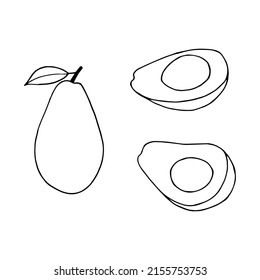 Frutos de aguacate. Ilustración de material vectorial eps10. Contorno, aislar sobre fondo blanco. Dibujado a mano.