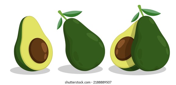 Avocado fruit whole and cut with large pit in center. Exotic fruit. Cartoon vector isolated on white background