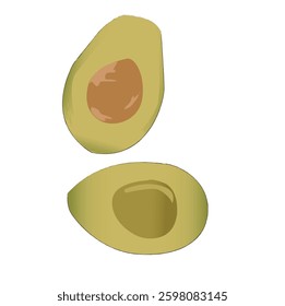 Avocado fruit whole and half. Summer tropical fruits for healthy lifestyle. 