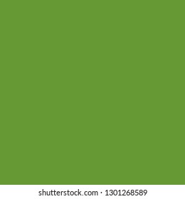 Avocado Green Background Vector Illustration