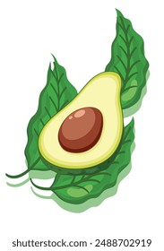 Avocado with green leafs on a white background