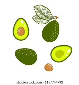 Avocado green vector isolated illustration.