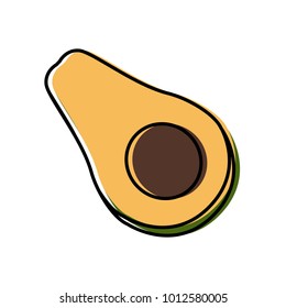 Avocado half cut, vector illustration