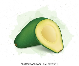 avocado with half cutted avocado  vector illustration on white background