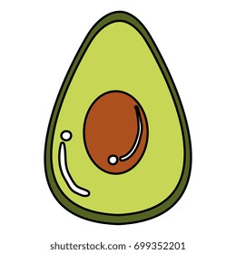 avocado half fresh isolated icon