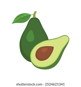 Avocado, half sliced avocado with green leaves vector illustration.