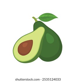 Avocado, half sliced avocado with green leaves vector illustration.