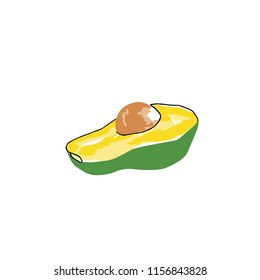 avocado half vector illustration