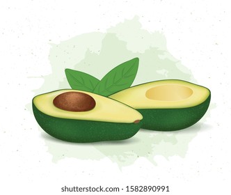 avocado half vector illustration with green leaves on white backgroun