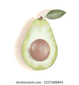 Avocado half in watercolor. Guacamole mexican snack ingredient. Design element isolated on white background.