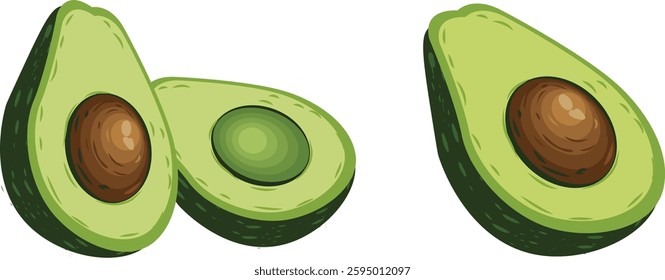 Avocado Halves Vector. Fresh, ripe avocados cut in half. Healthy fruit, vegan food. Editable vector illustration