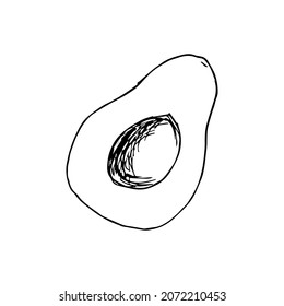 Avocado halbiert. Vektorgrafik. Avocado-Scheiben, Avocado-Hälften. Doodle-Illustrationen