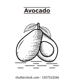 Avocado Hand draw