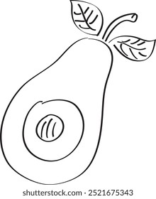 avocado hand drawn with brush in black on white background
