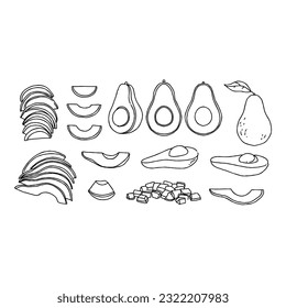 avocado hand drawn doodle illustrations vector set