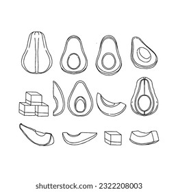 avocado hand drawn doodle illustrations vector set