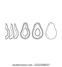 avocado hand drawn doodle illustrations vector set