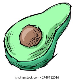 Avocado hand drawn green isolated vector illustration