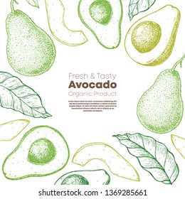 Avocado hand drawn illustration. Avocado frame. Sketch vector illustration. Can used for packaging design. Avocado food.