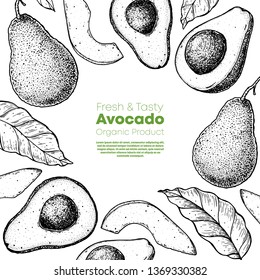 Avocado hand drawn illustration. Avocado frame. Sketch vector illustration. Can used for packaging design. Avocado food.