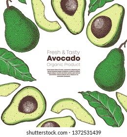 Avocado hand drawn illustration. Avocado frame. Colored illustration. Can used for packaging design. Avocado food.