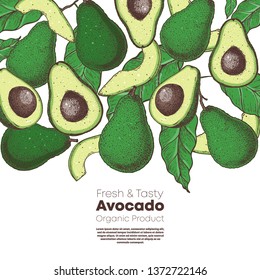 Avocado hand drawn illustration. Avocado frame. Colored vector illustration. Can used for packaging design. Avocado food.