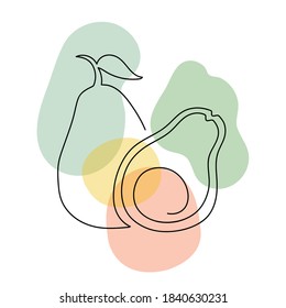 Avocado in a hand drawn linear style.